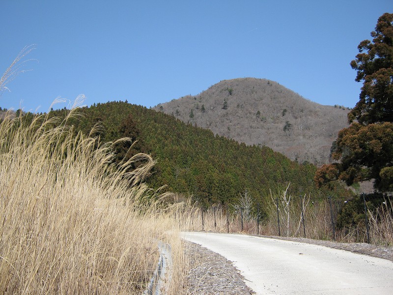 p2010032203.jpg
