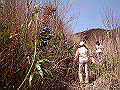 p2010032206_thumb.png