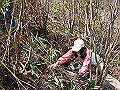 p2010032207_thumb.png