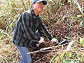 p2010032209_thumb.png