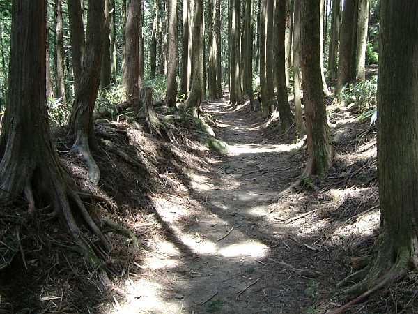 kodou06.jpg