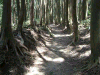 kodou06_thumb.png