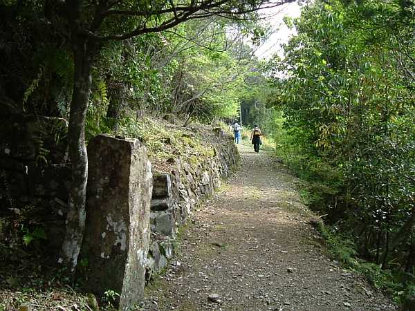 kodou13.jpg