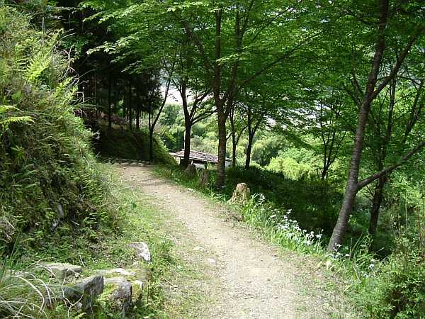 kodou17.jpg