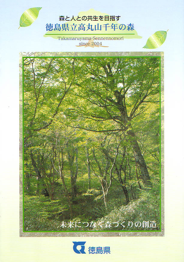 mo2004-01.jpg