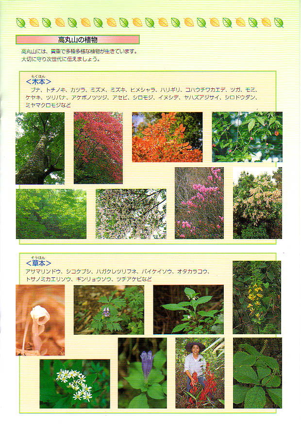 mo2004-05.jpg