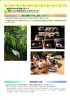 mo2004-07_thumb.png