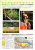 mo2004-08_thumb.png