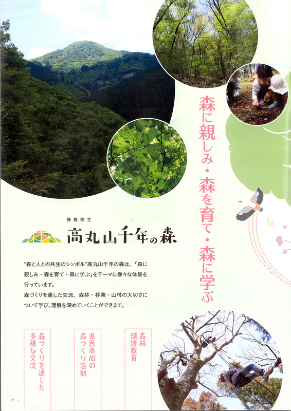 mori02.jpg