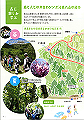 mori06_thumb.png