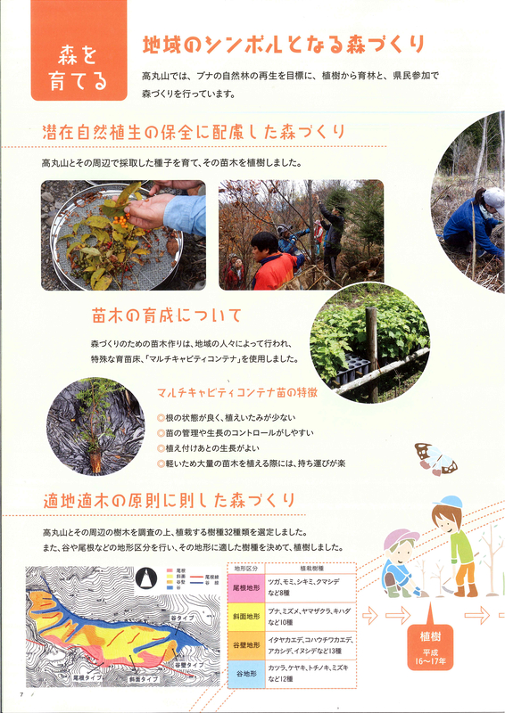 mori08.jpg