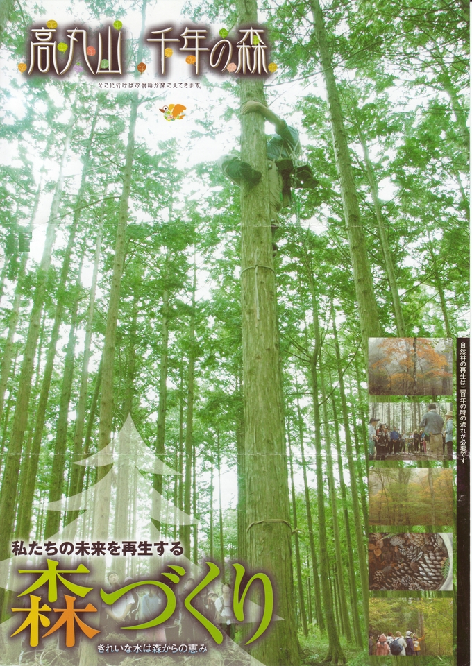 N̐Xsē2007\