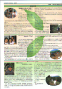 mt01-02_thumb.png