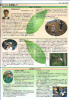 mt01-03_thumb.png
