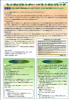 mt01-04_thumb.png