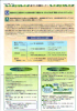 mt03-04_thumb.png