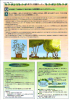 mt04-04_thumb.png