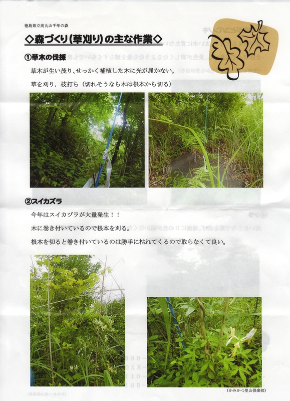 p1.jpg