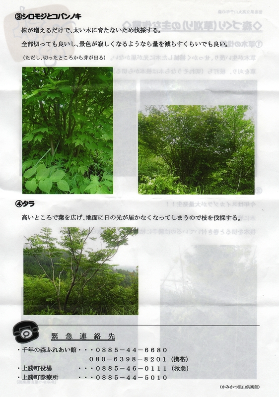 p2.jpg