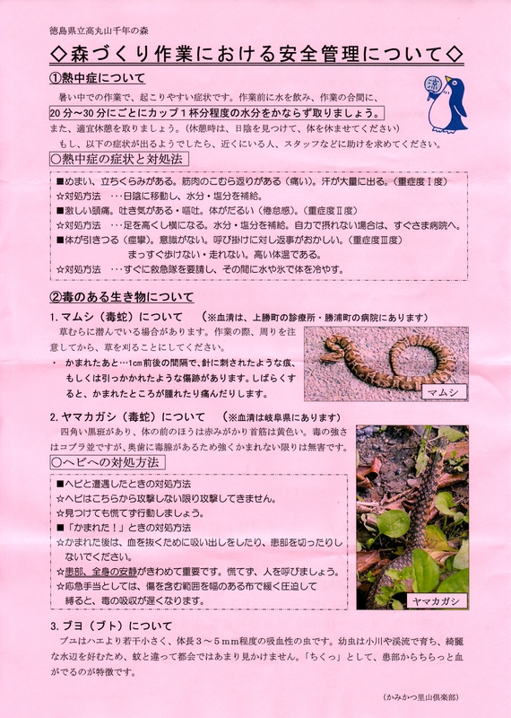p3.jpg