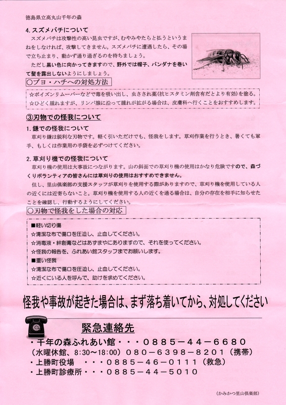 p4.jpg