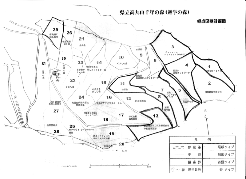 p5.jpg