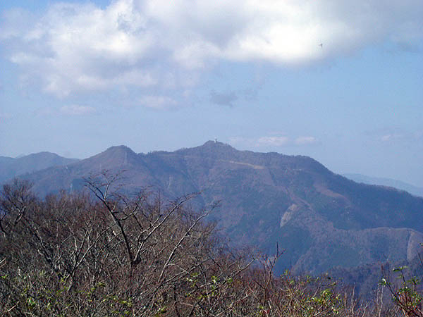tmm09.jpg