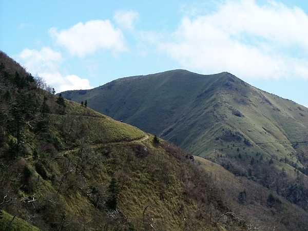 turugi04.jpg