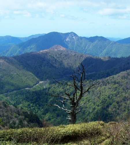 turugi09.jpg